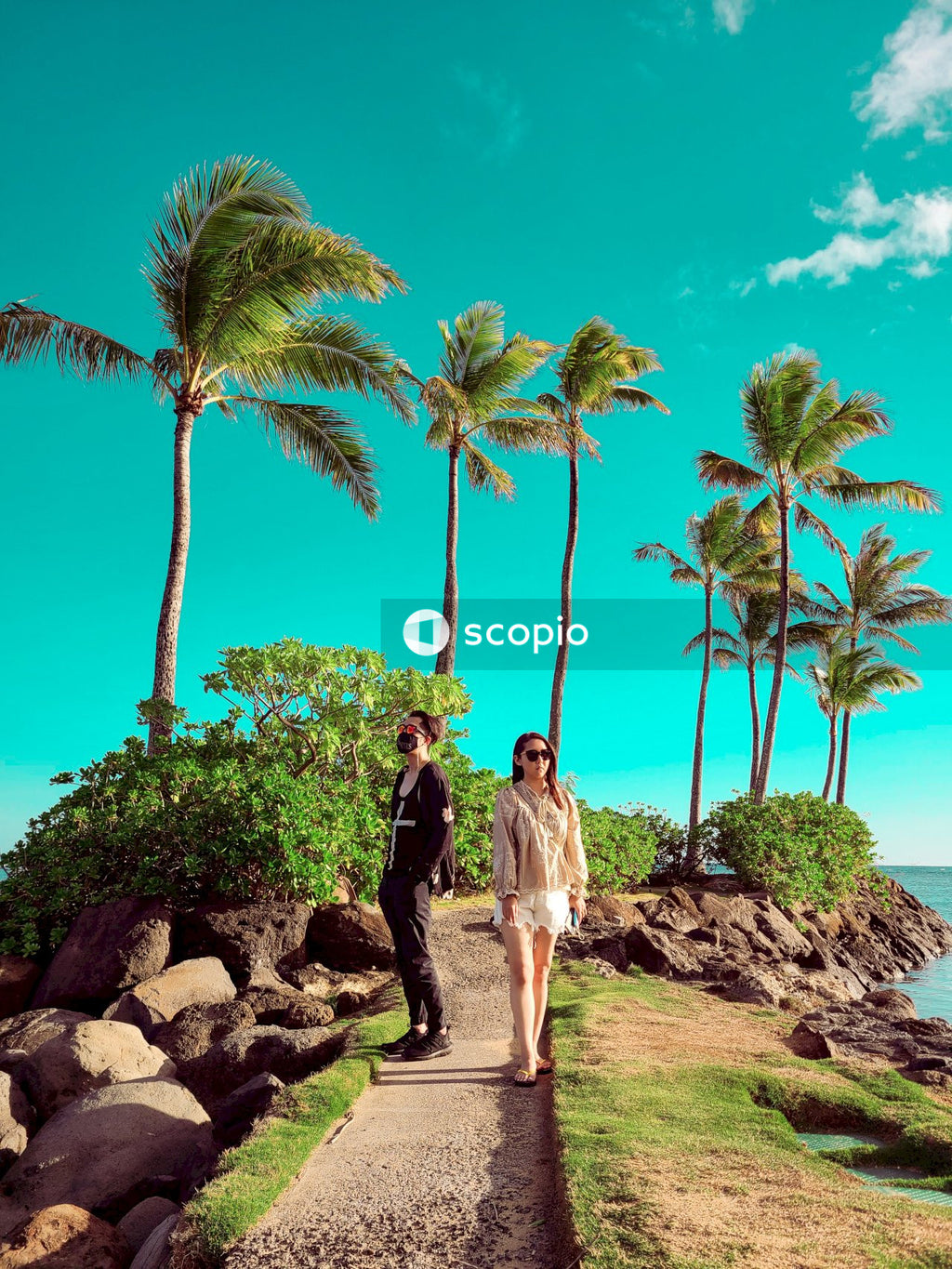 Couple standing on brown rock near green palm trees