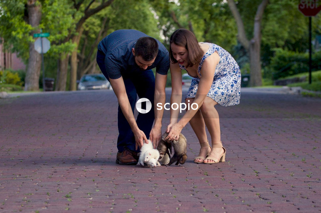 Couple taking out ferrets 