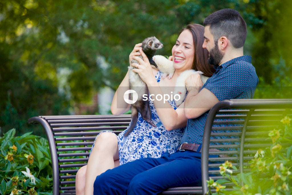 Couple on bench with ferrets