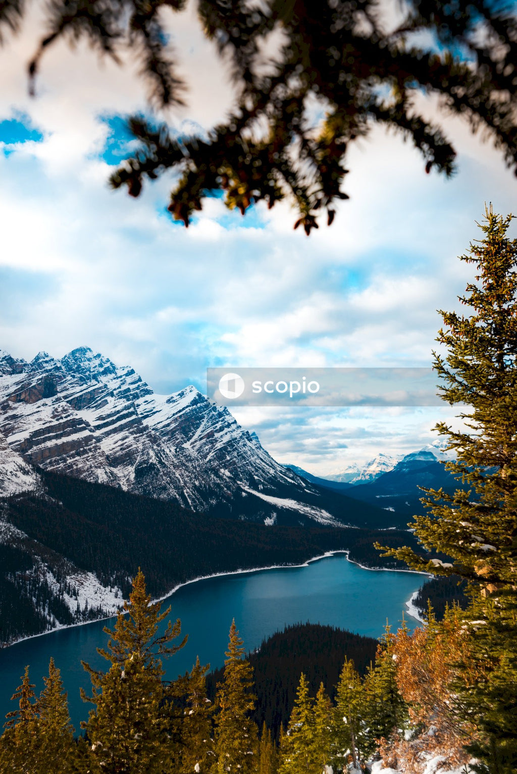 Lake surrounded by trees near snow covered mountain