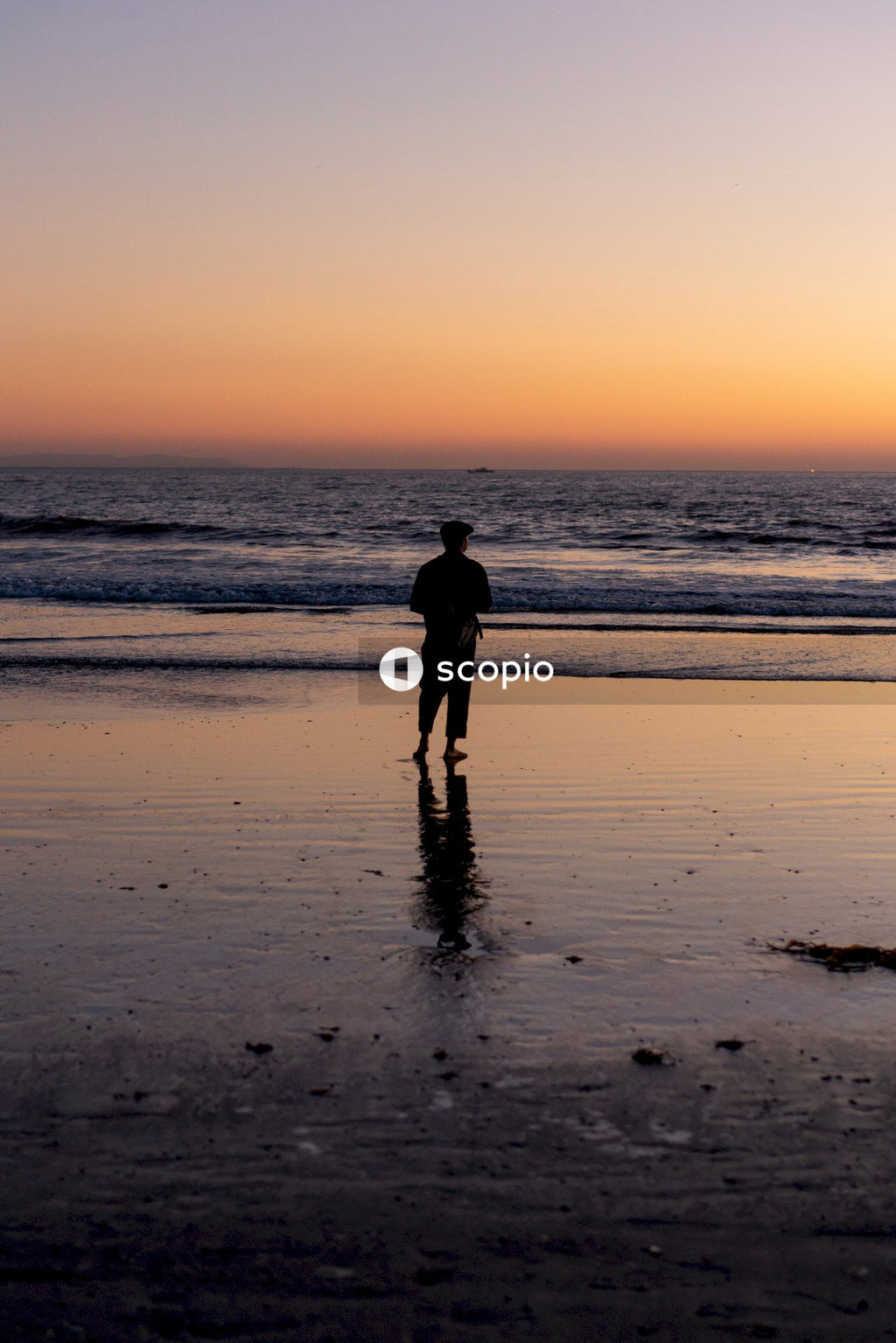 Silhouette of person walking on beach during sunset