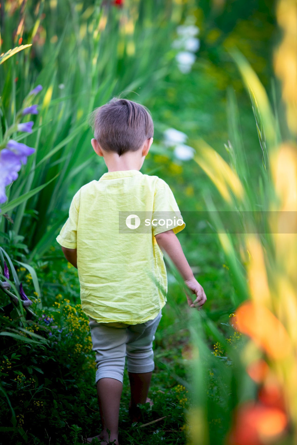 Backside of a boy in yellow top running between long colorful out of focus flowers
