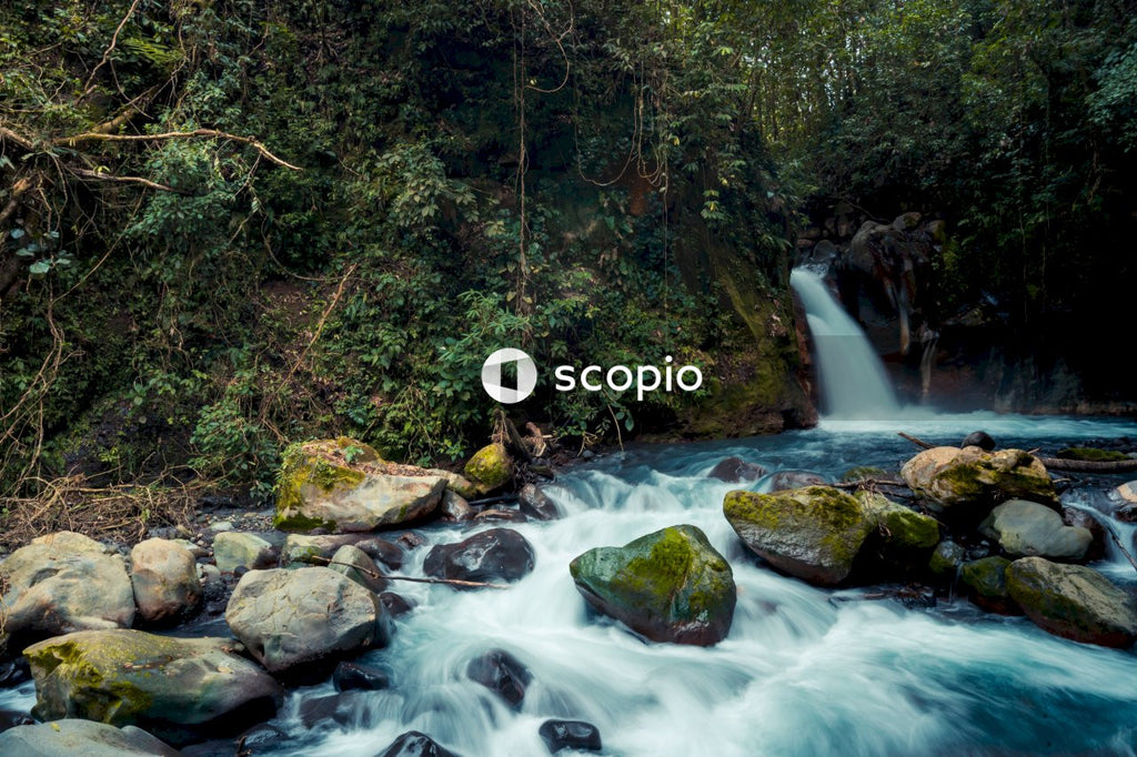 Waterfall and river in forest
