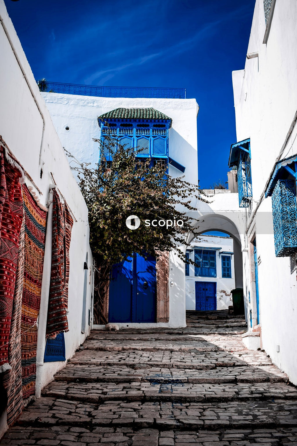 View photography of white concrete house and alley