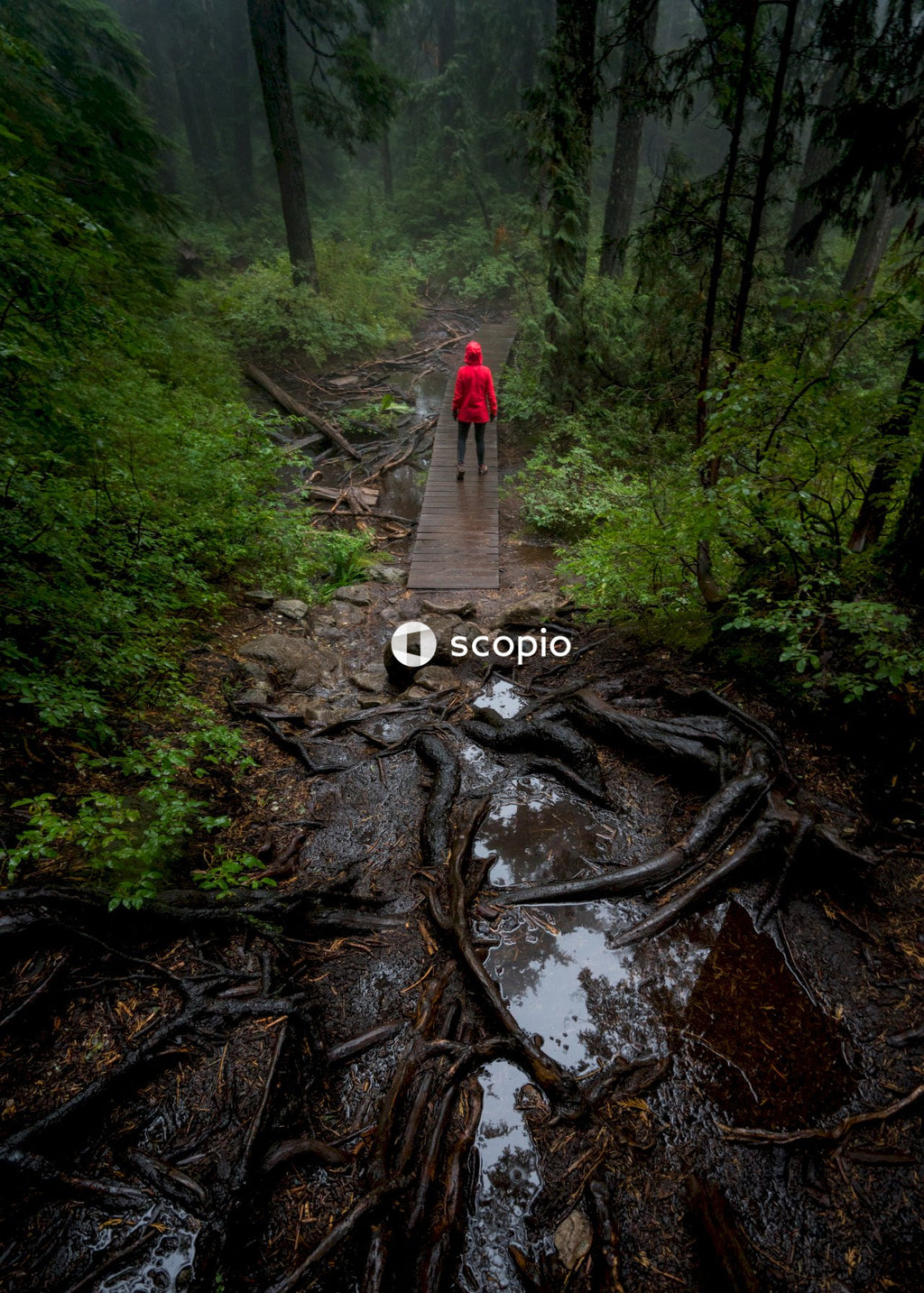 Person in red top walks on bridge in nature