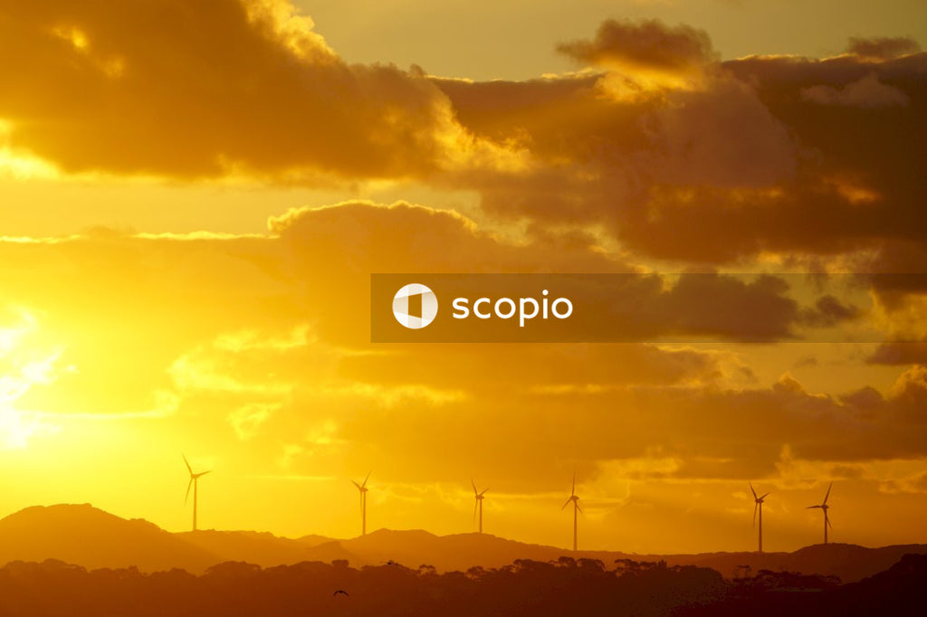 Silhouette of wind turbines during sunset