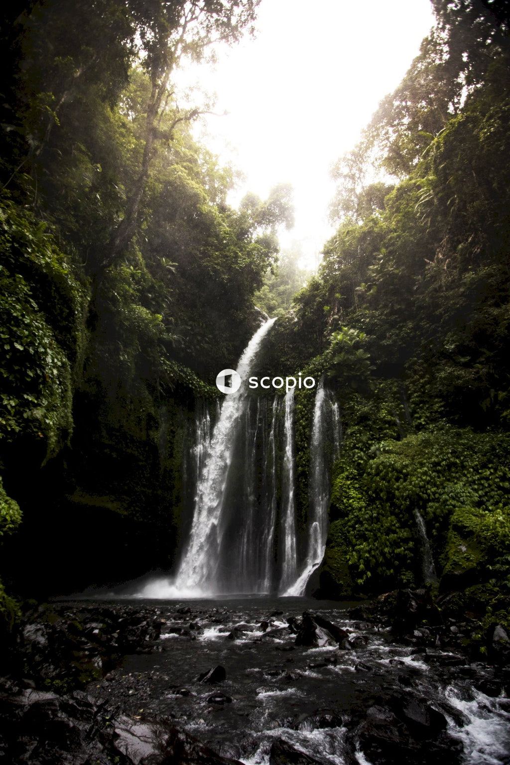 Waterfalls in the middle of the forest