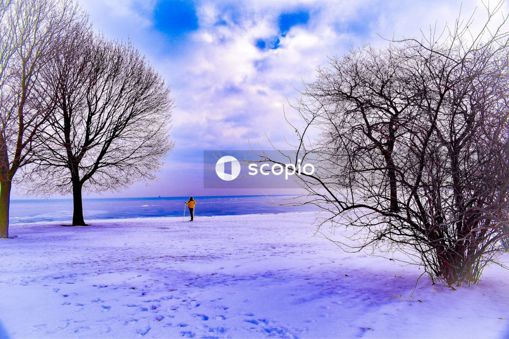 Person in blue jacket and black pants standing on snow covered ground near bare trees