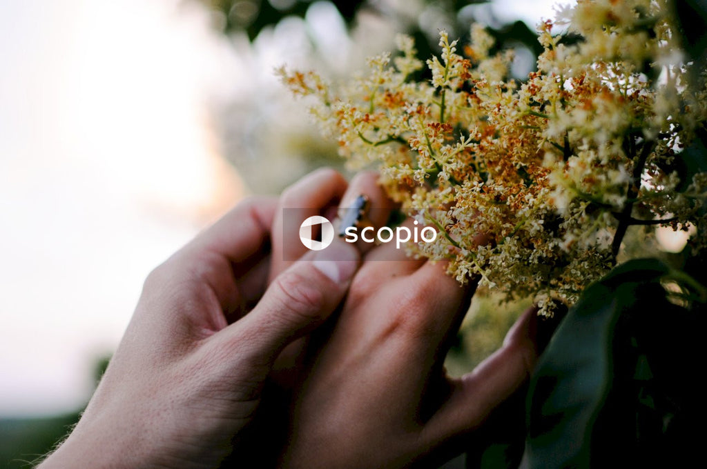 Two joined hands out of focus showing engagement ring next to yellow flowers