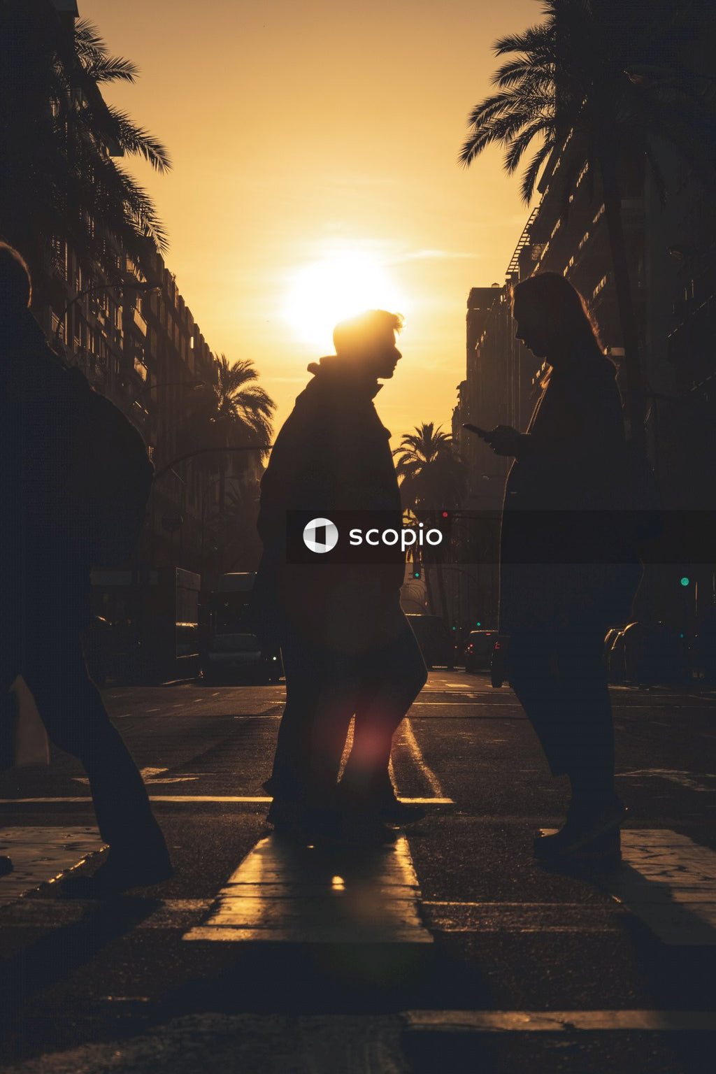 Silhouette of couple walking on street during sunset