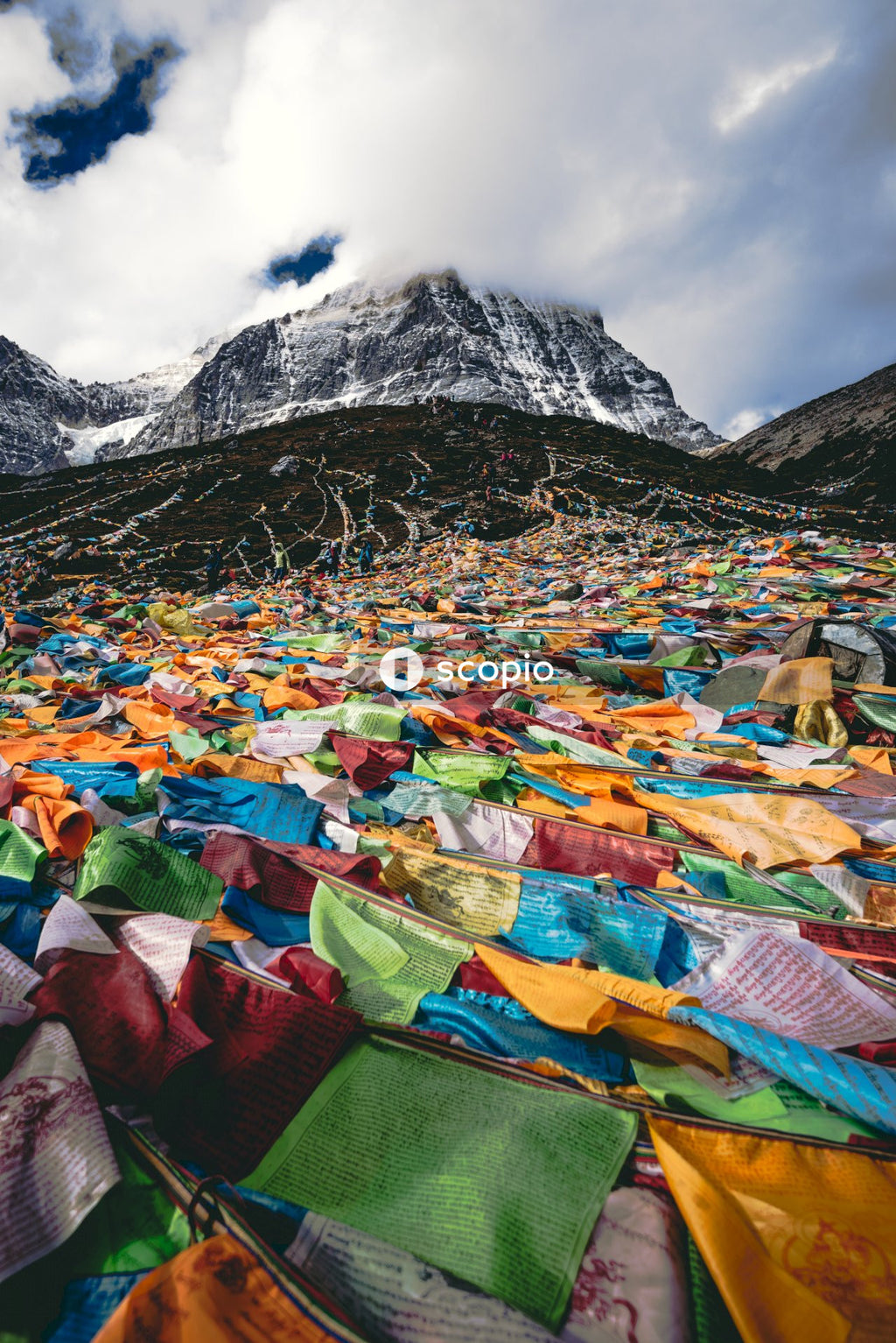 Multi-colored plastic bags on green grass field near mountain