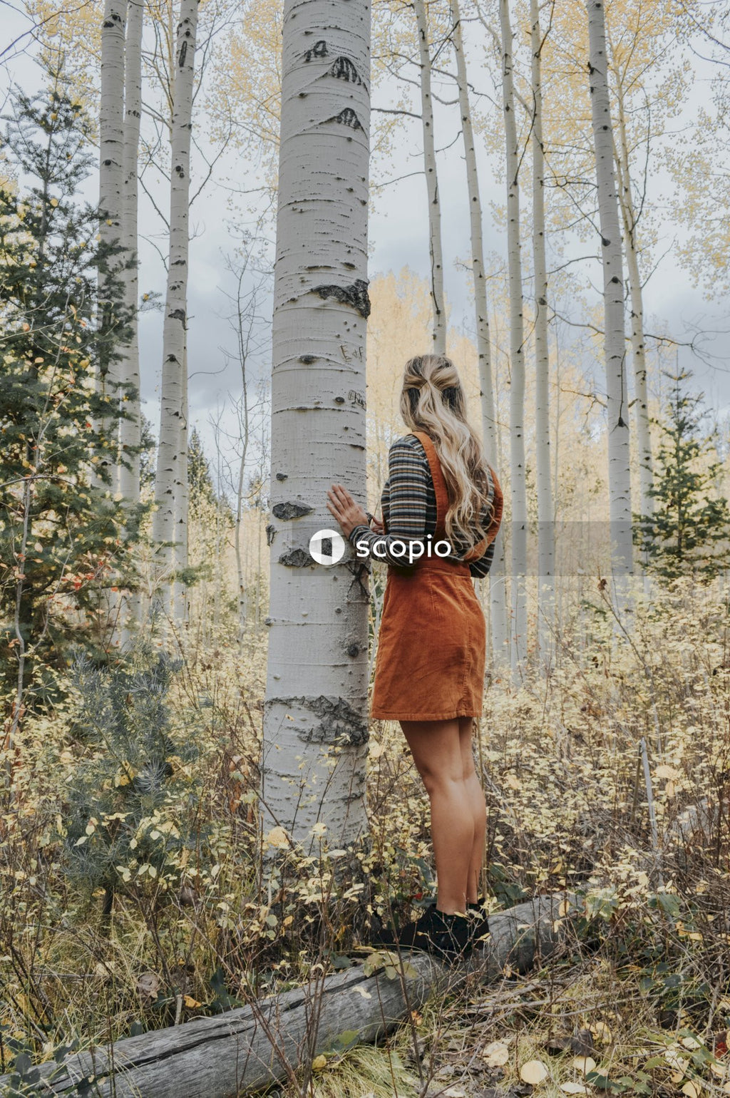 Back view of young woman standing beside tree