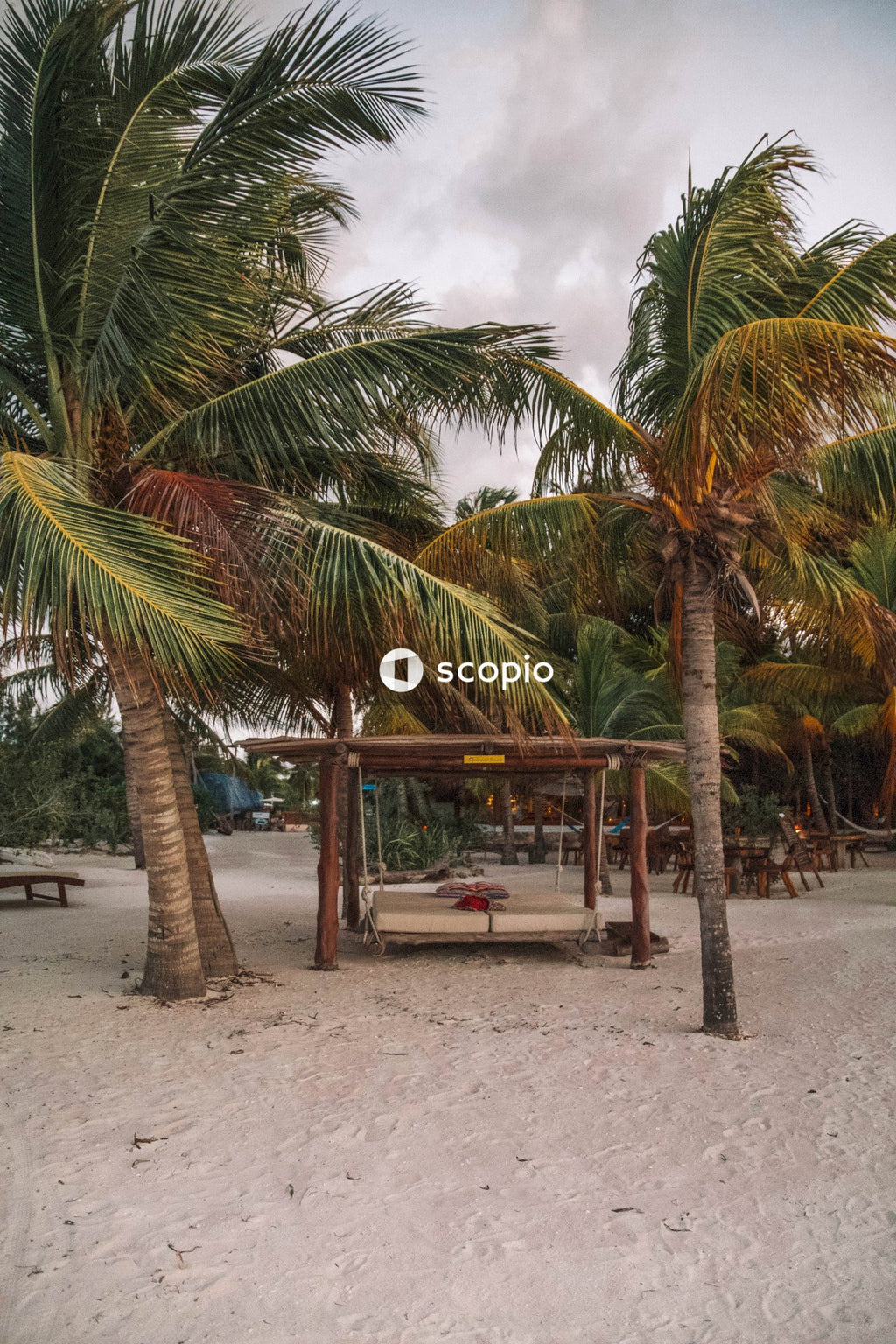 Wooden beach bed under palm trees