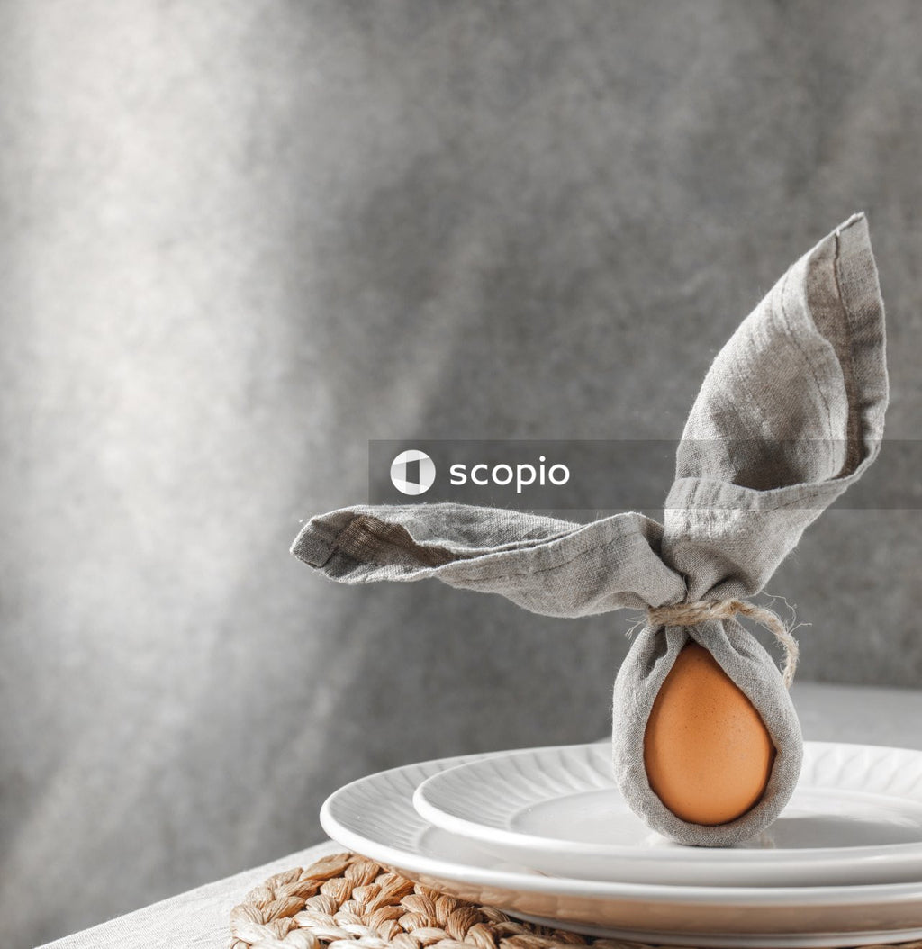 Egg on white ceramic plate