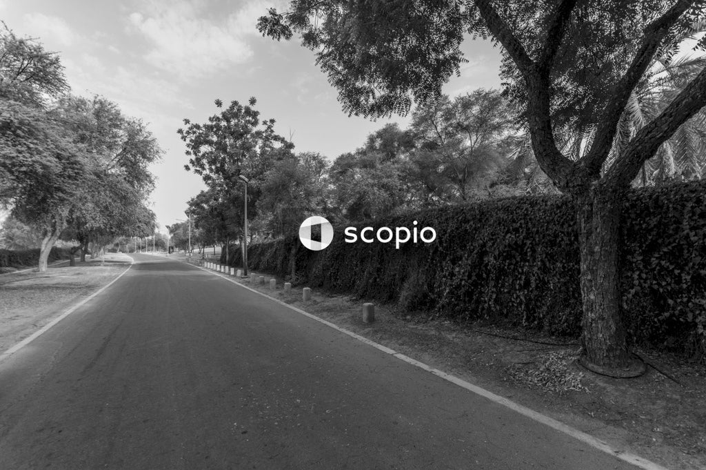 Grayscale photo of empty road between trees