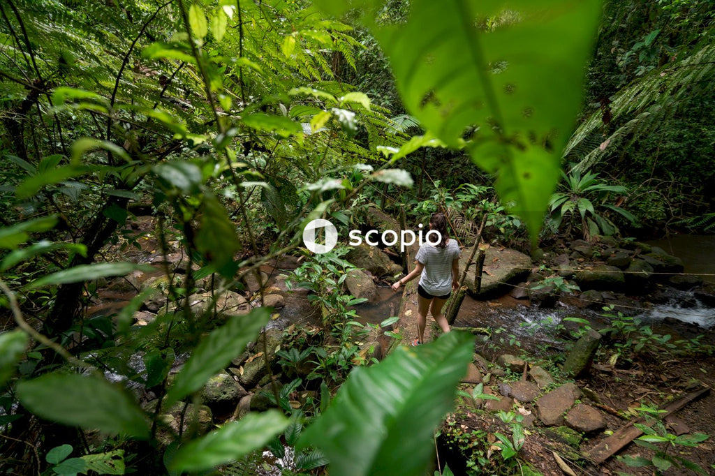 Woman walking in jungle