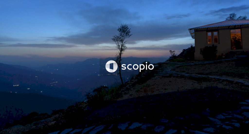 Bare tree on top of mountain