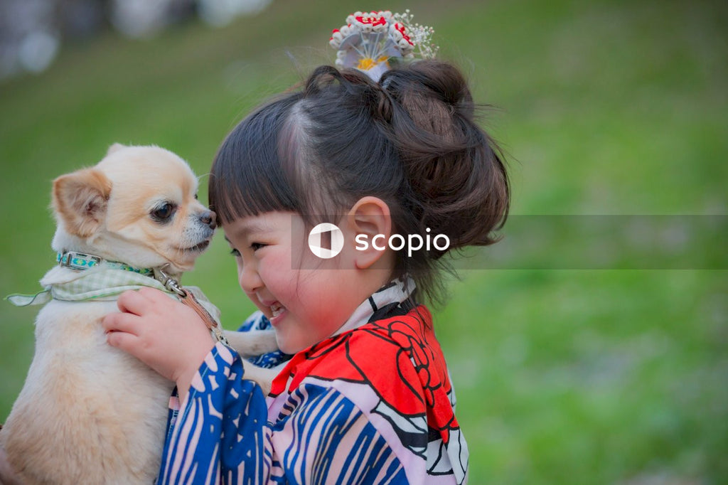 Girl in red and white stripe shirt hugging brown chihuahua puppy