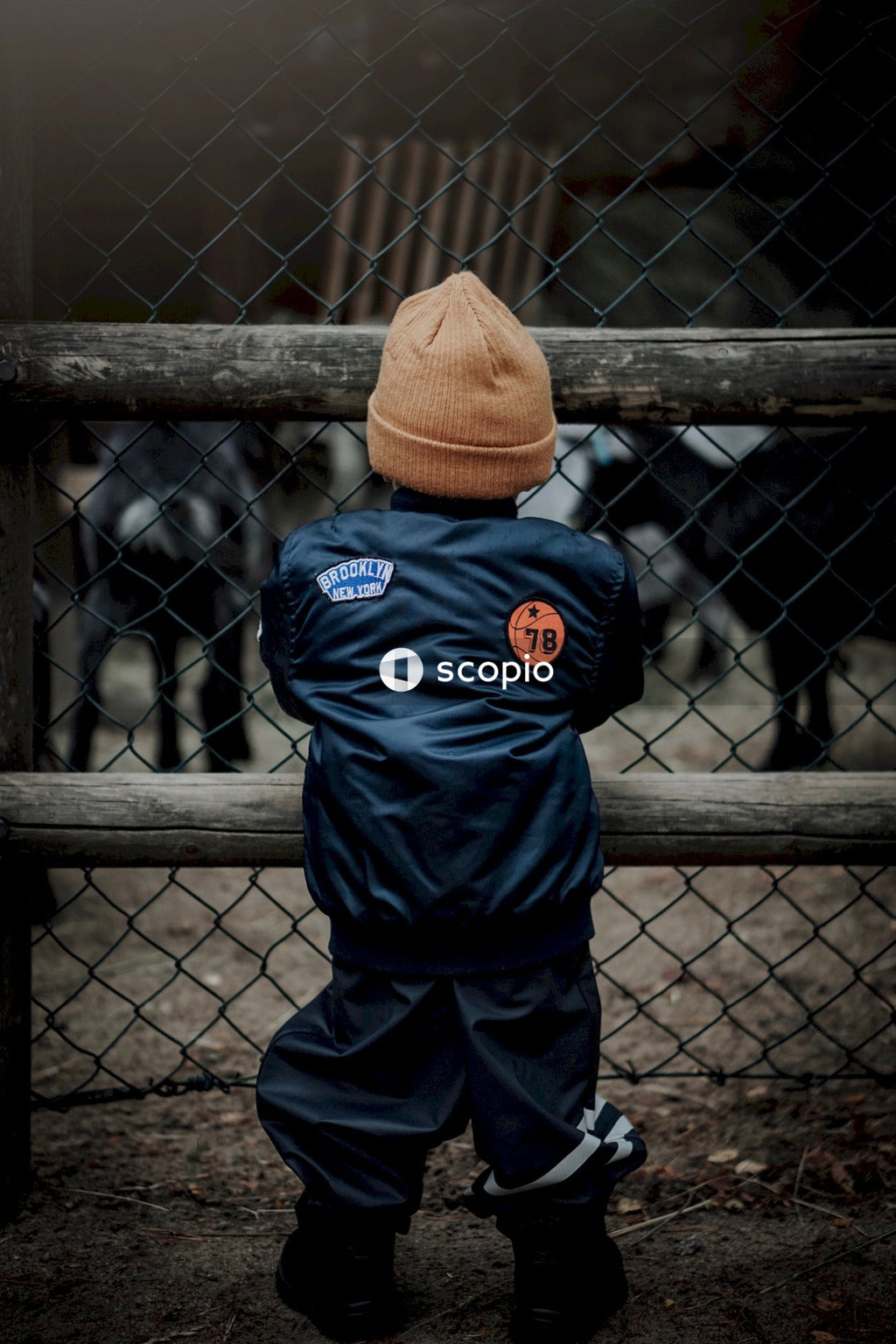 Boy watching animals