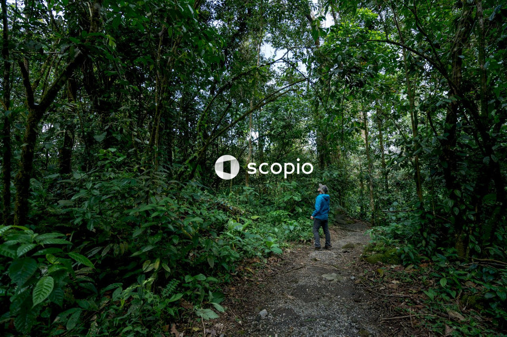 Man stands near trees