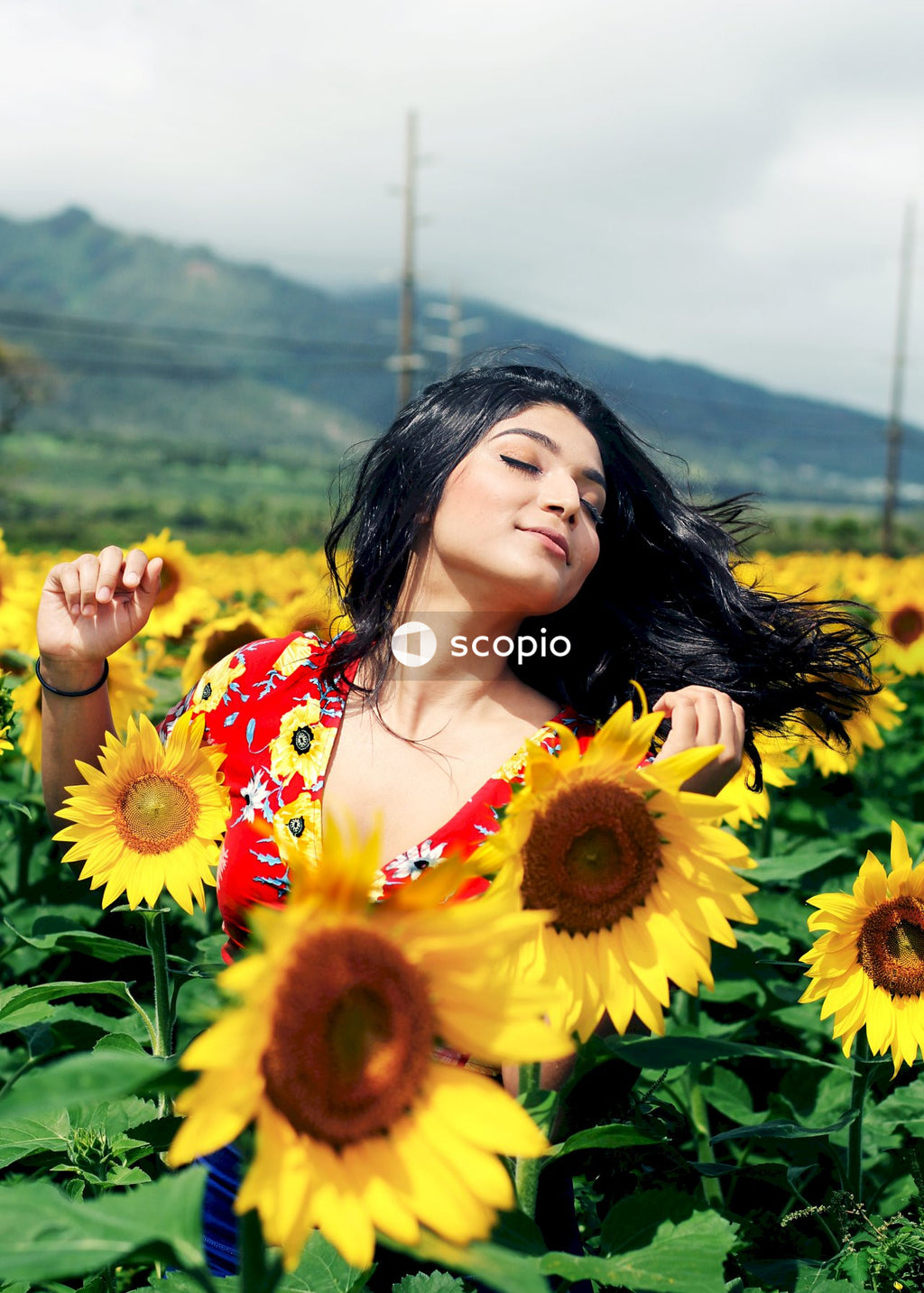 Woman in red and yellow floral shirt standing in sunflower field