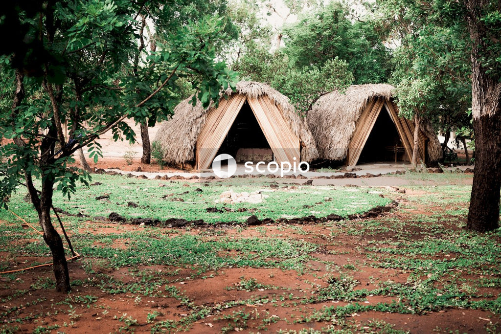 Thatched abodes open