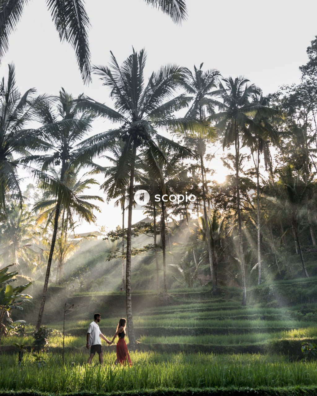 Couple walking in field