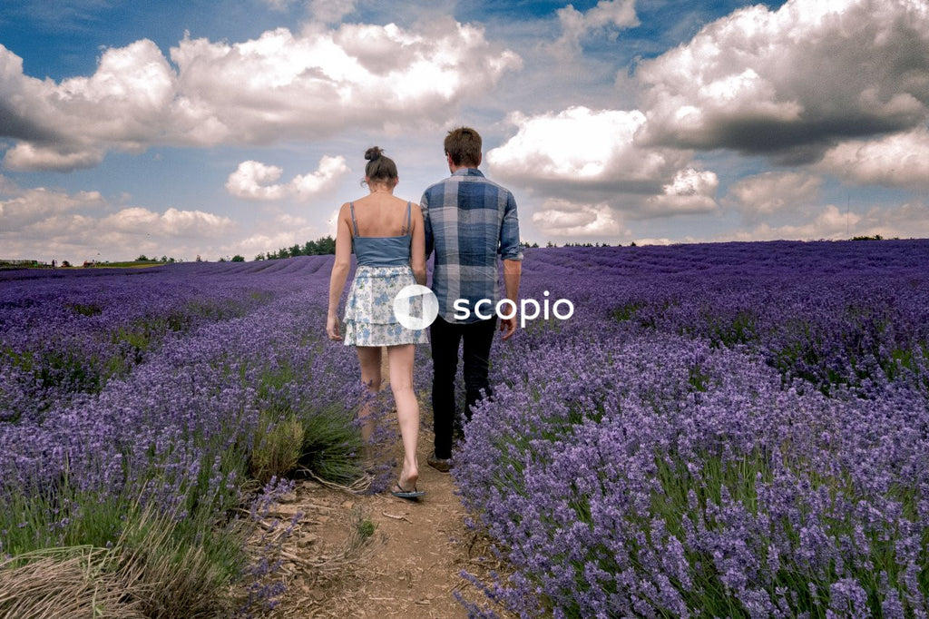 Couple walking hand in hand in lavender field