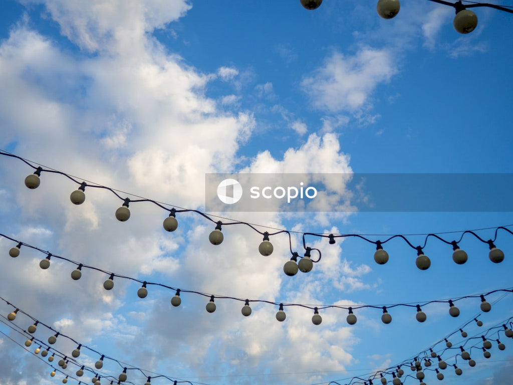 Flock of birds flying under blue sky