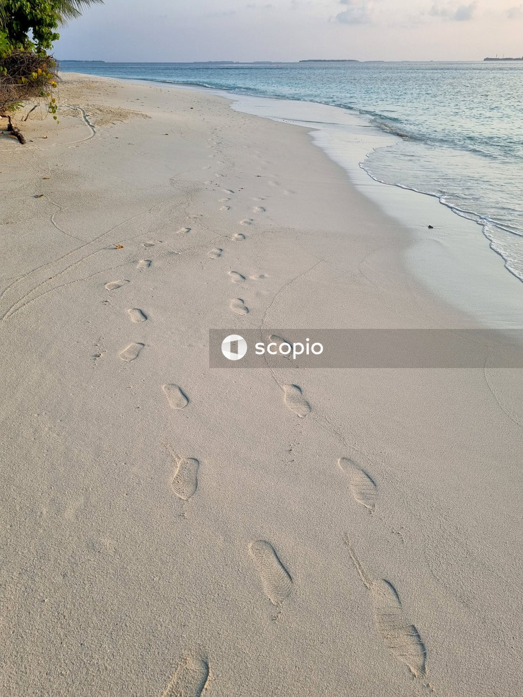 Foot prints on the beach