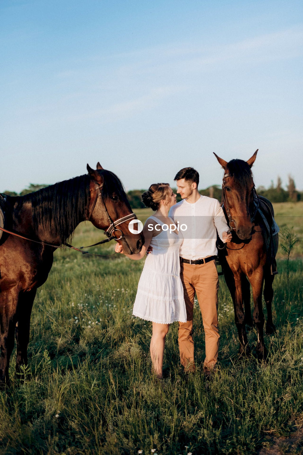 Man and woman hugging beside two horses