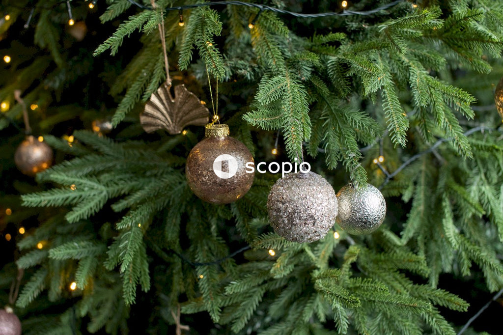 Gold bauble on green pine tree