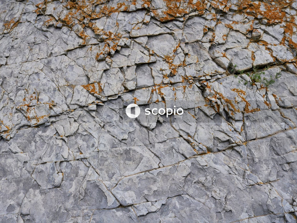 Gray and brown rock wall