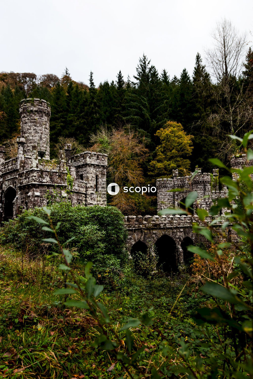 Gray concrete castle surrounded by green trees
