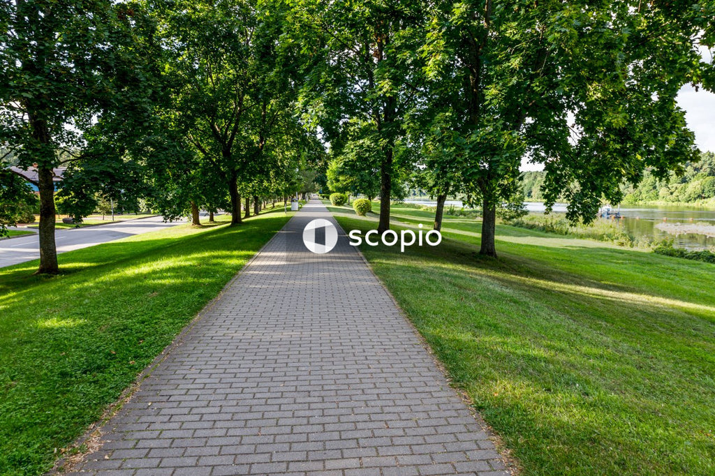 Gray concrete pathway between green grass field and green trees