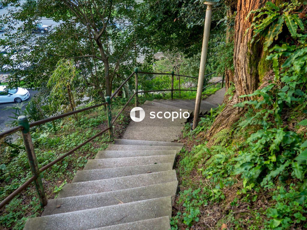 Gray concrete staircase near green trees