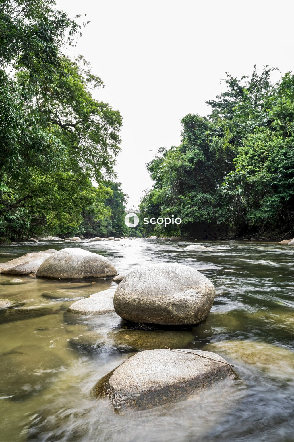 Gray rocks on river