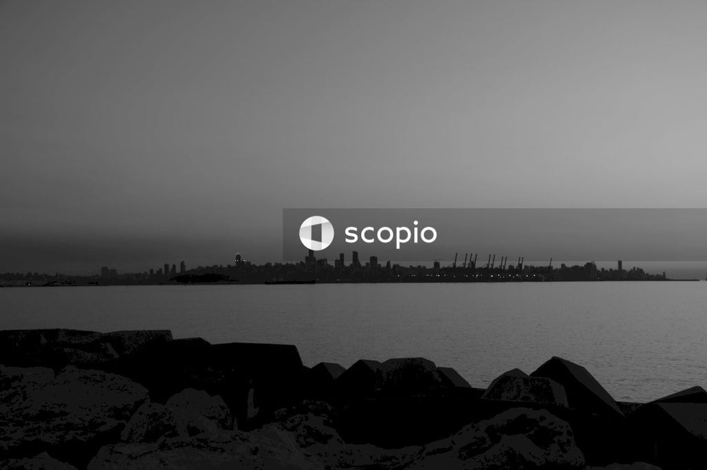Grayscale photo of body of water with a skyline view