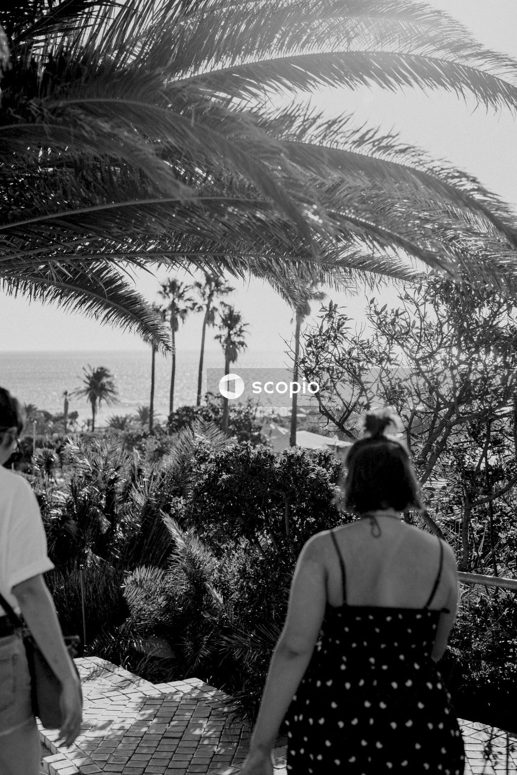 Grayscale photo of couple standing near palm tree