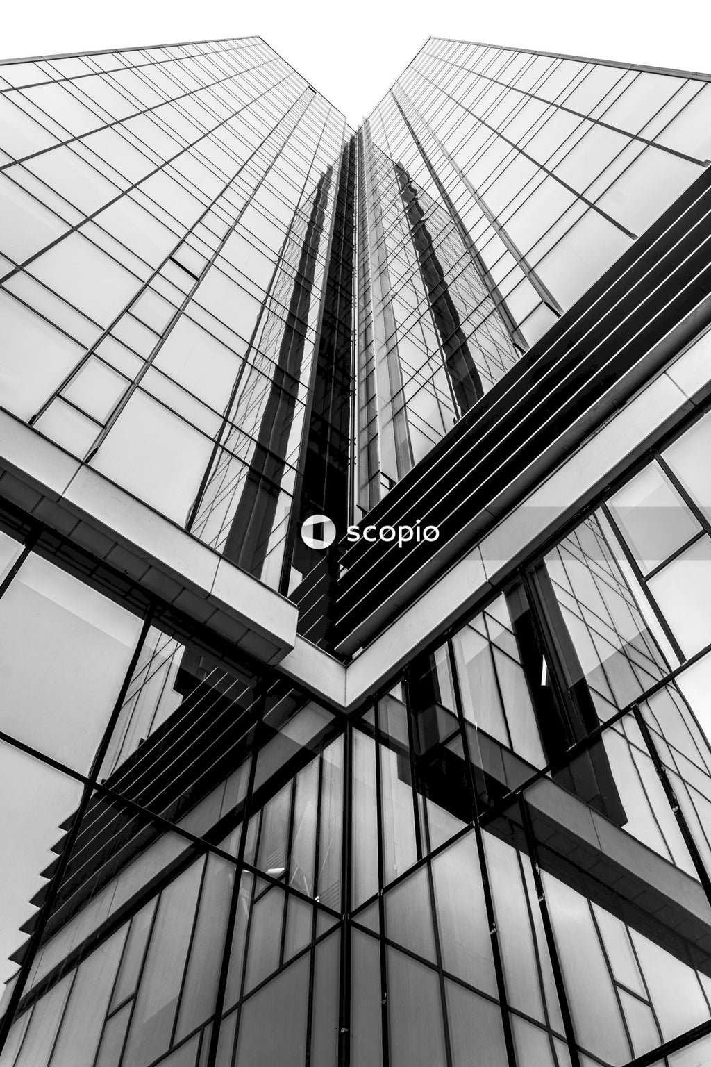 Grayscale photo of glass window