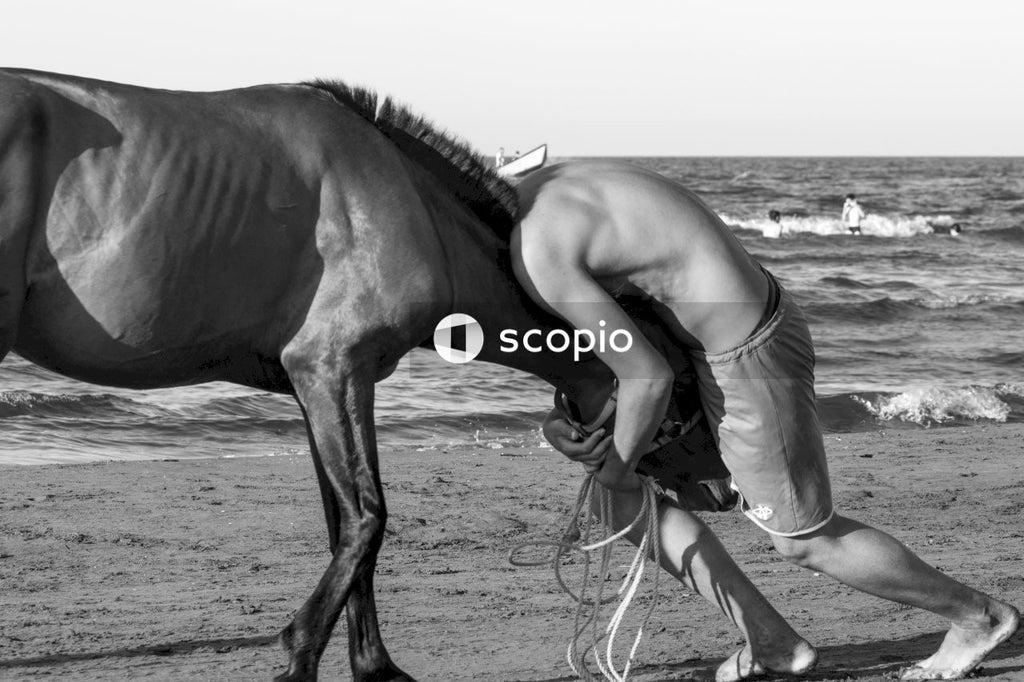 Grayscale photo of horse running on beach