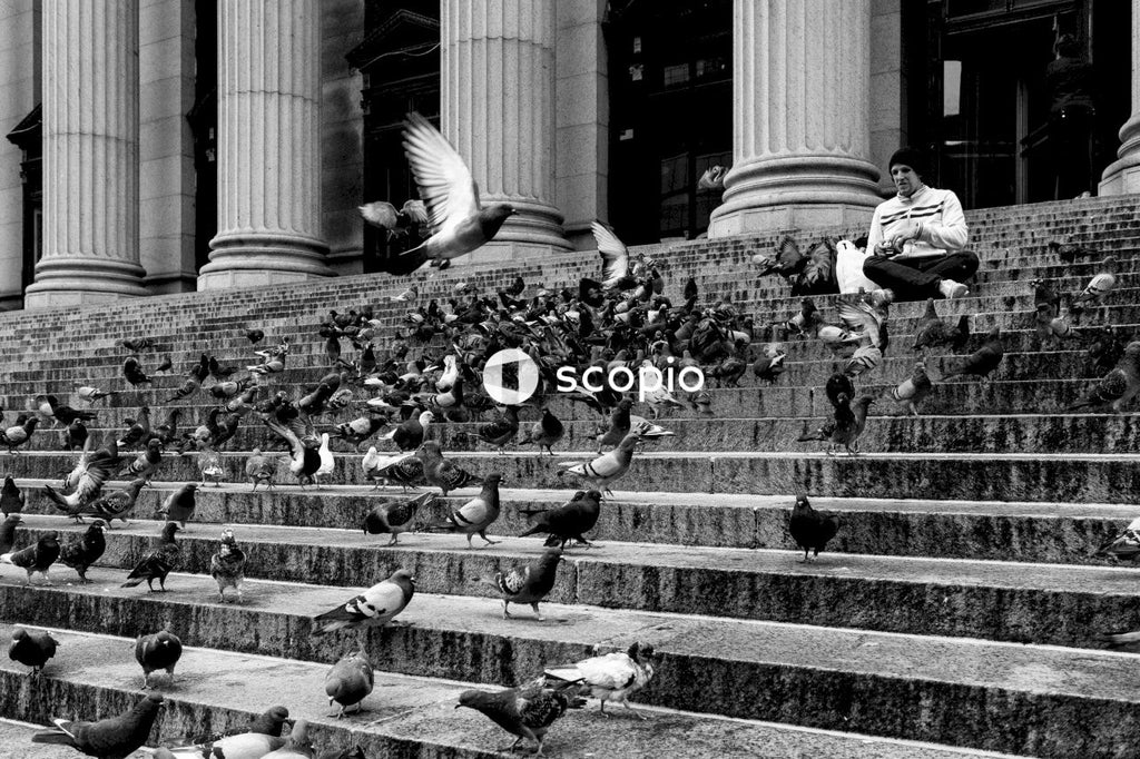 Grayscale photo of man in front of concrete building surrounded by birds