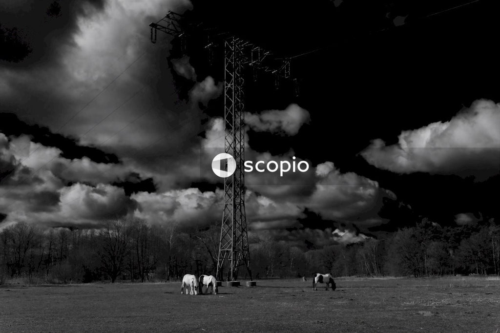 Grayscale photo of people on grass field under cloudy sky