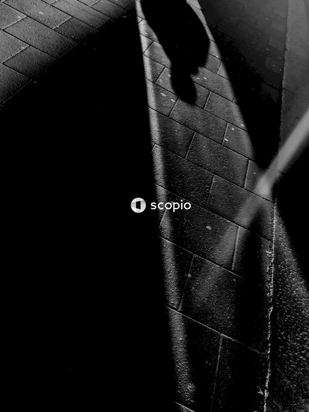 Grayscale photo of person walking on brick wall