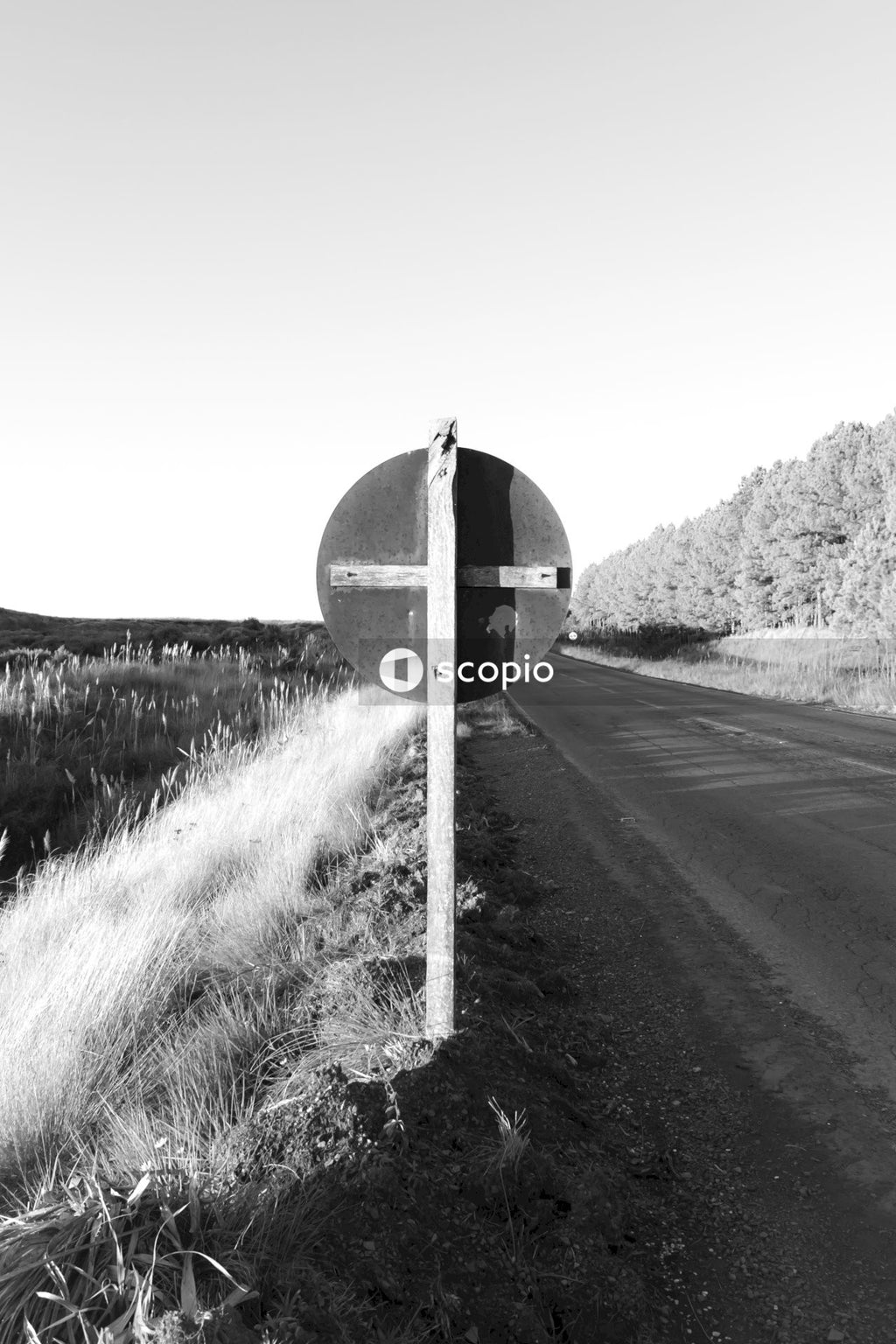 Grayscale photo of road in the middle of grass field
