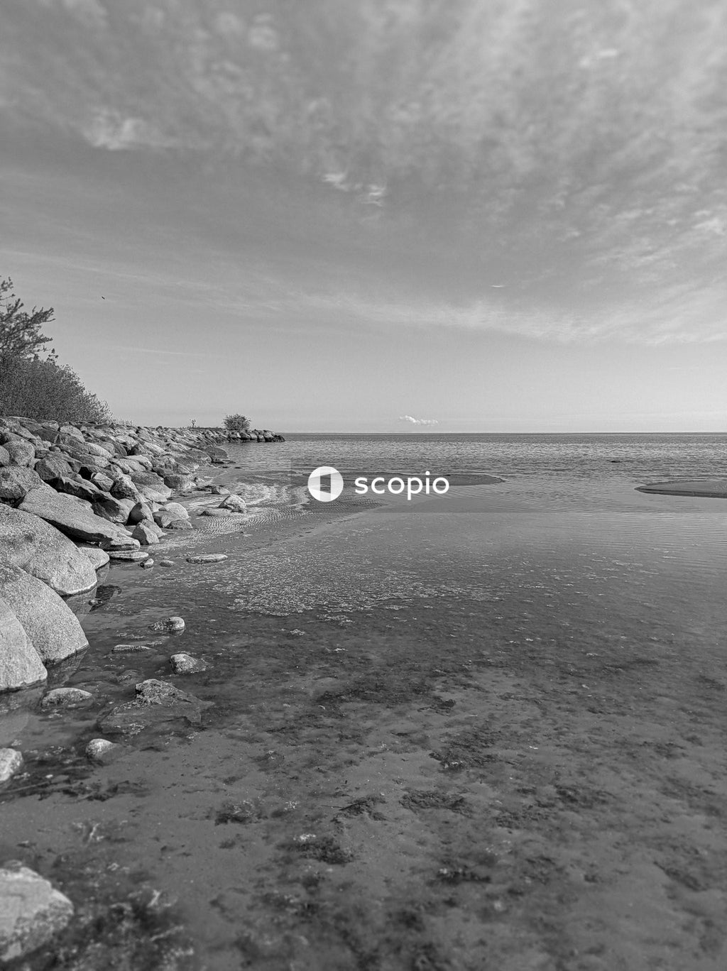 Grayscale photo of rocky shore