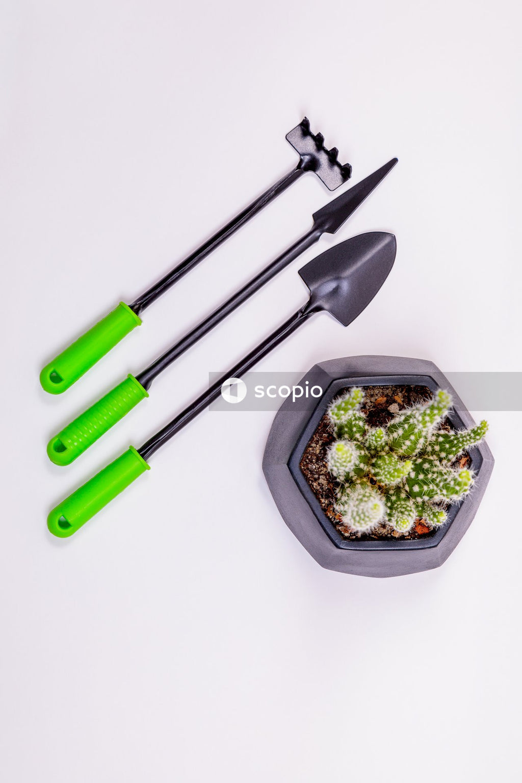 Green and gray plastic spoon and fork on black ceramic bowl