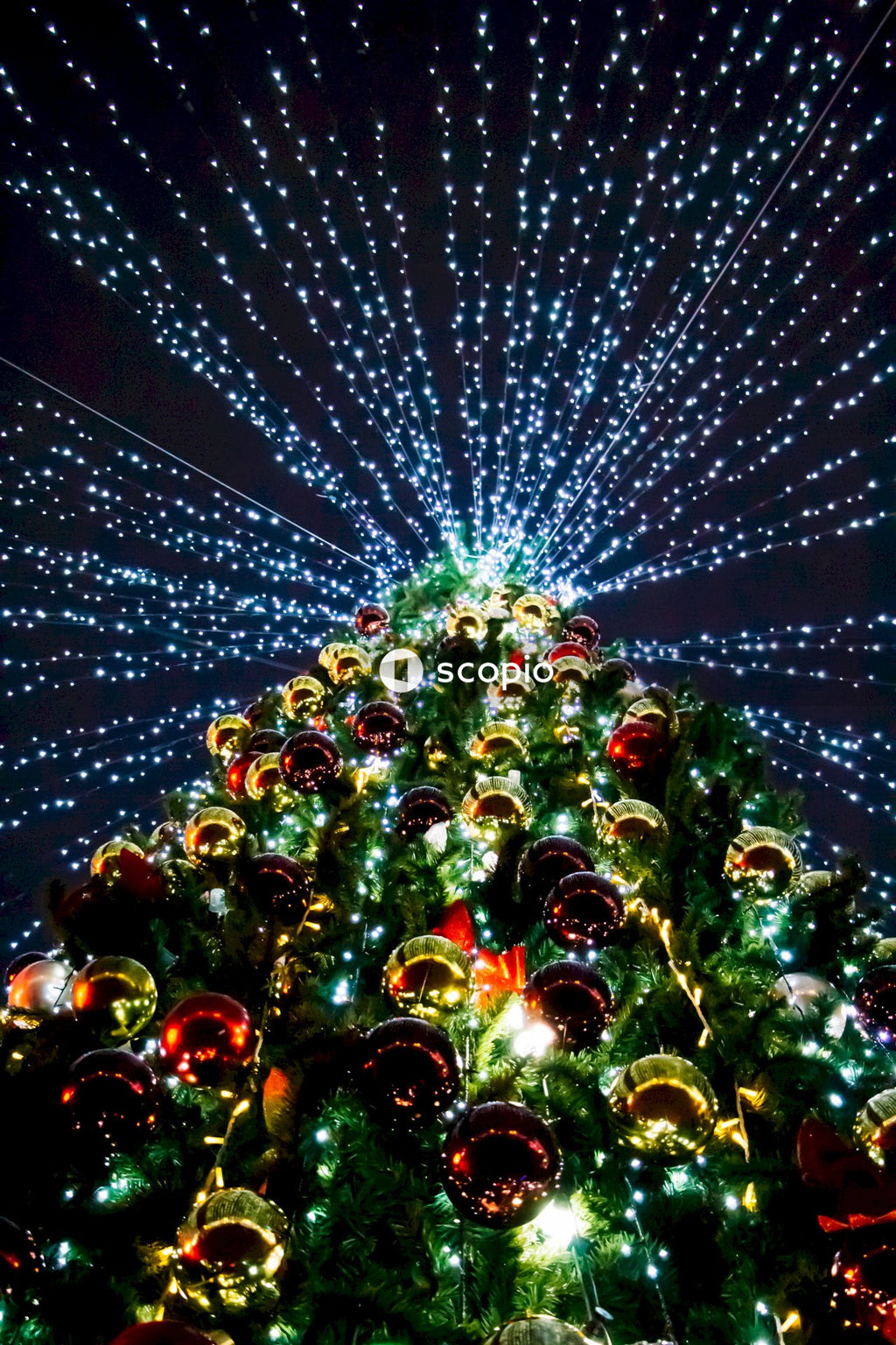 Green and red christmas tree with string lights