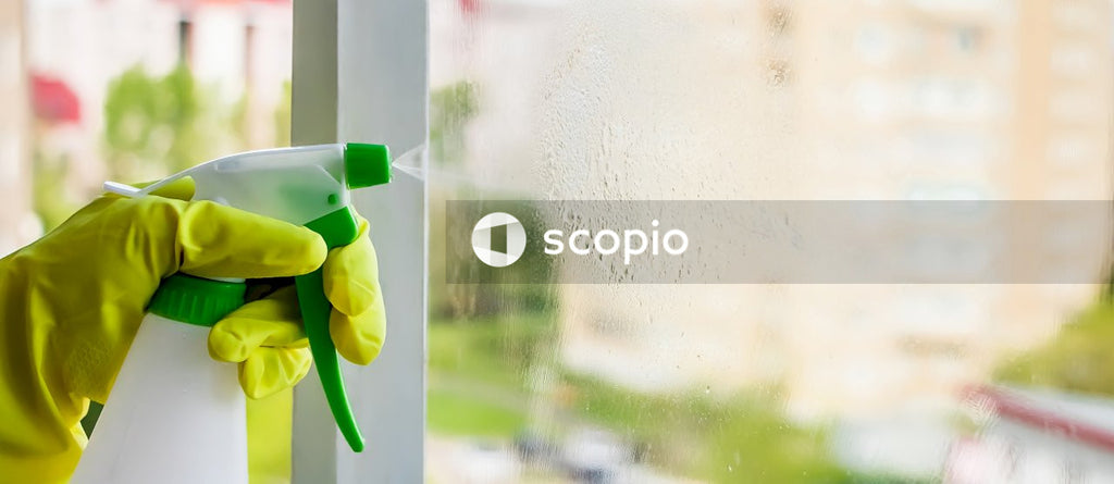 Green frog plush toy on glass window