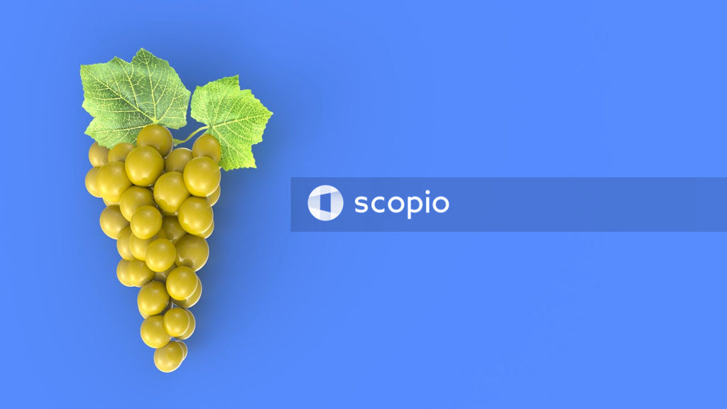 Green grapes on blue background